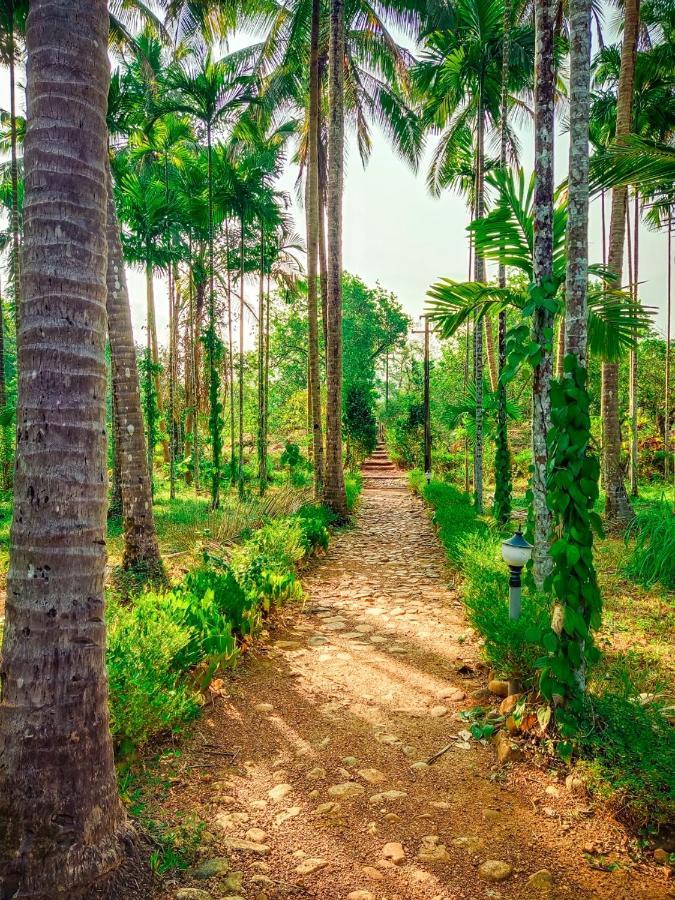 Nature'S Nest Eco Resort Goa, Near Dudhsagar Waterfalls Molem ภายนอก รูปภาพ