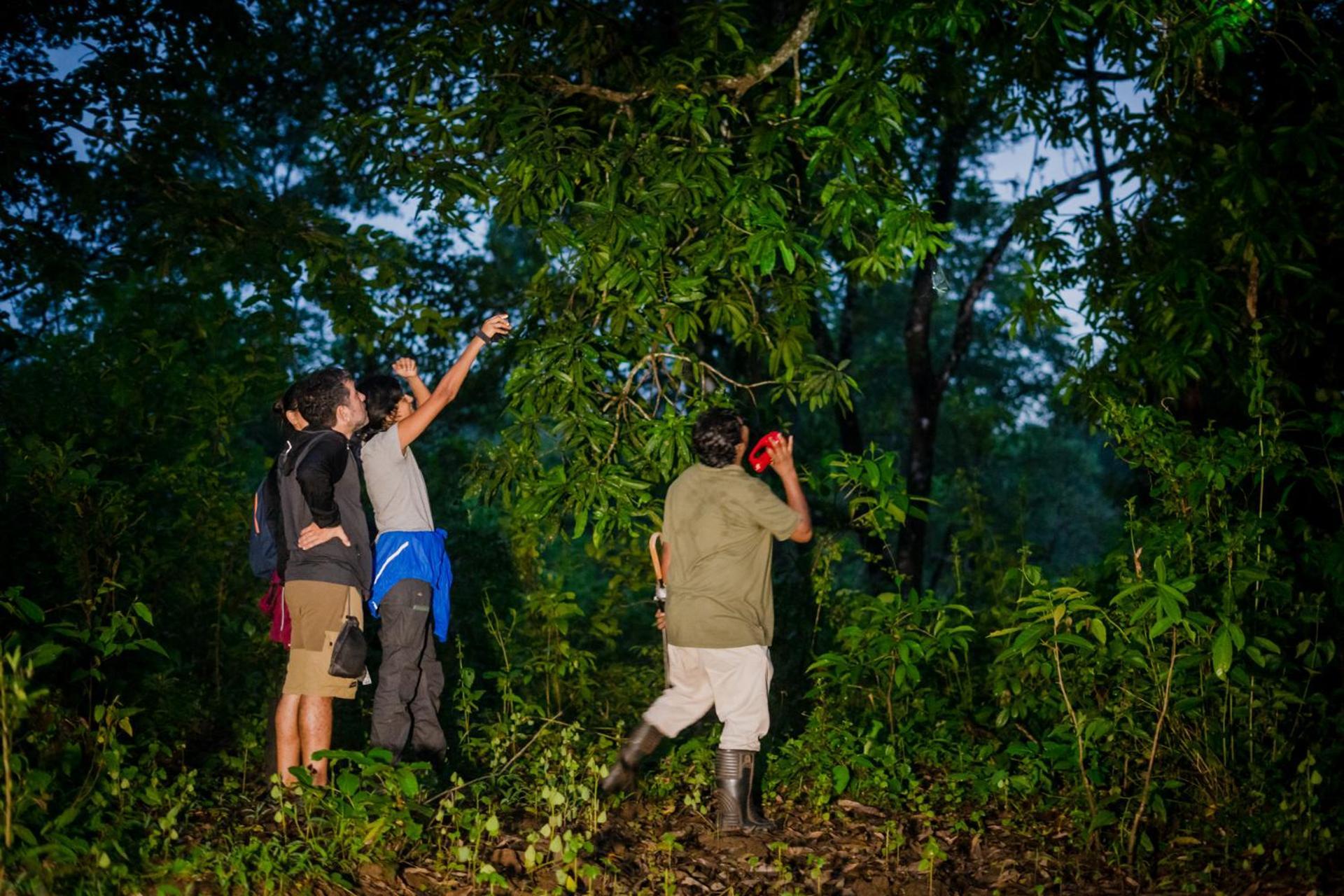 Nature'S Nest Eco Resort Goa, Near Dudhsagar Waterfalls Molem ภายนอก รูปภาพ