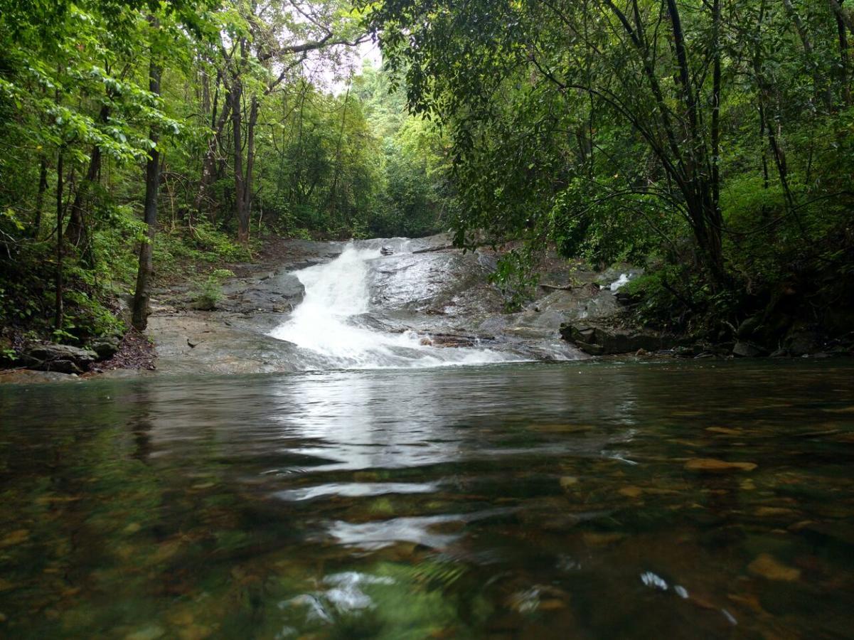Nature'S Nest Eco Resort Goa, Near Dudhsagar Waterfalls Molem ภายนอก รูปภาพ